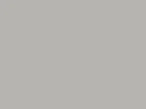 Gypsum 921