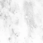 Iceberg N 1258